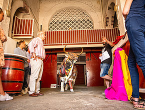 Agrandir l'image (fenêtre modale)