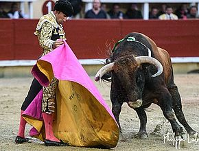 Agrandir l'image (fenêtre modale)