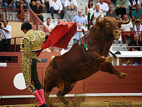 Agrandir l'image (fenêtre modale)