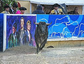 Agrandir l'image (fenêtre modale)