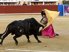 Agrandir l'image (fenêtre modale)